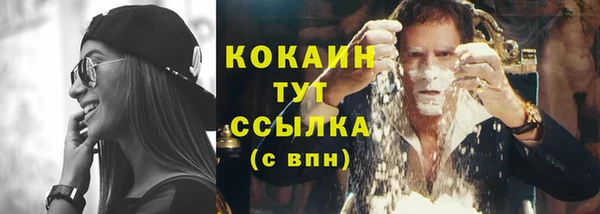 гидропоника Горно-Алтайск