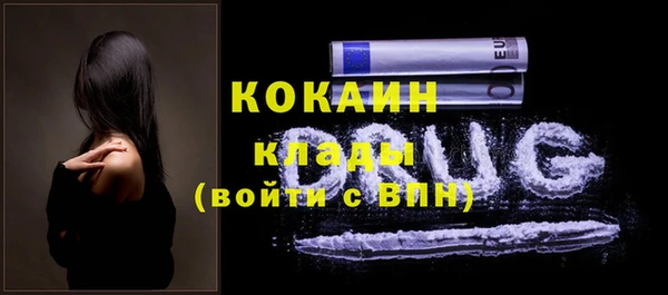 гидропоника Горнозаводск