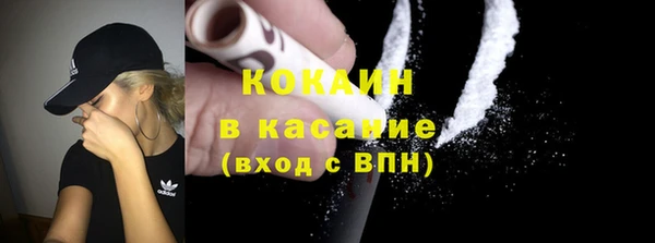 прущая мука Вяземский
