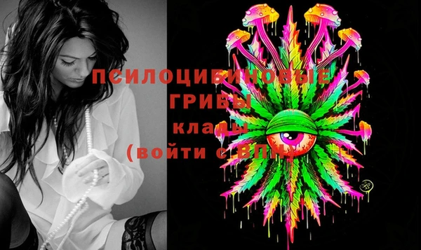 прущая мука Вяземский