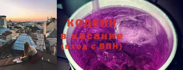 прущая мука Вяземский