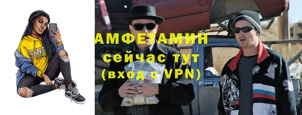 прущая мука Вяземский