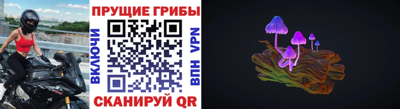Галлюциногенные грибы Cubensis  Заводоуковск 